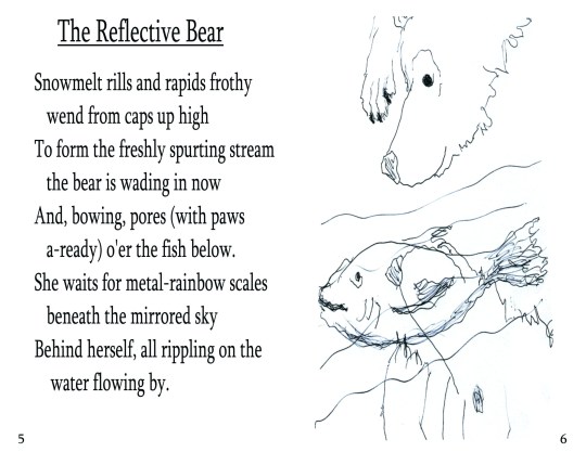 No. 3  "The Reflective Bear"