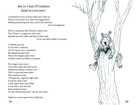 No. 8  "Bear In A State Of Confusion"