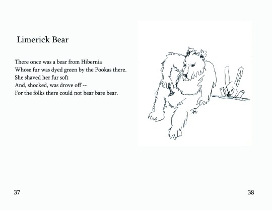 No.16 "Limerick Bear"